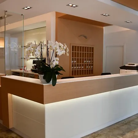 Playa ホテル 3*
